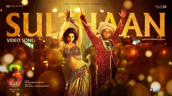 Sulthan Song from Aadu 3 Movie